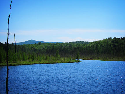 Barnum Pond from the Boreal Life Trail overlook (3 June 2011)